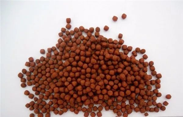 没有本事的老婆才会欺负老公,没任何社会经验的媳妇