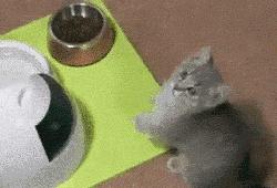 囧叔吐槽,囧吐槽