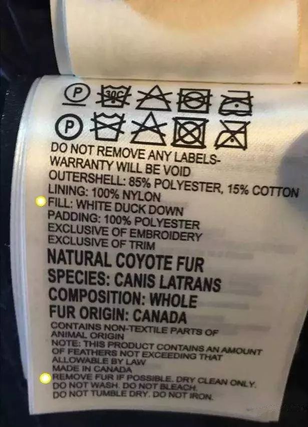 鎶勮鐨勬渶楂樺鐣屾湁澶氶珮,canadagoose