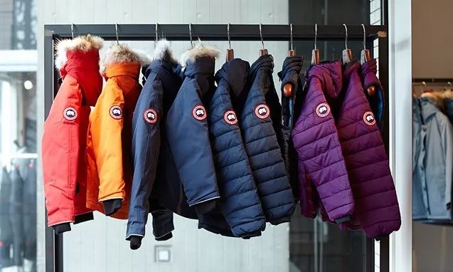 鎶勮鐨勬渶楂樺鐣屾湁澶氶珮,canadagoose