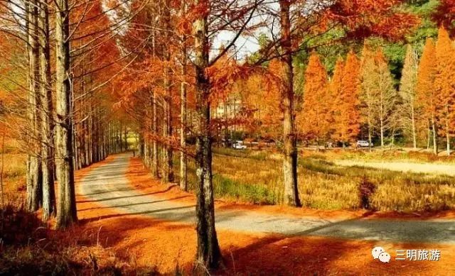 2018涓夋槑鏃呰鏃ュ巻,涓夋槑鏃呮父鏀荤暐鎬荤粨