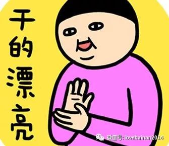 海南为什么那么多人离不开岛,海南登岛情况