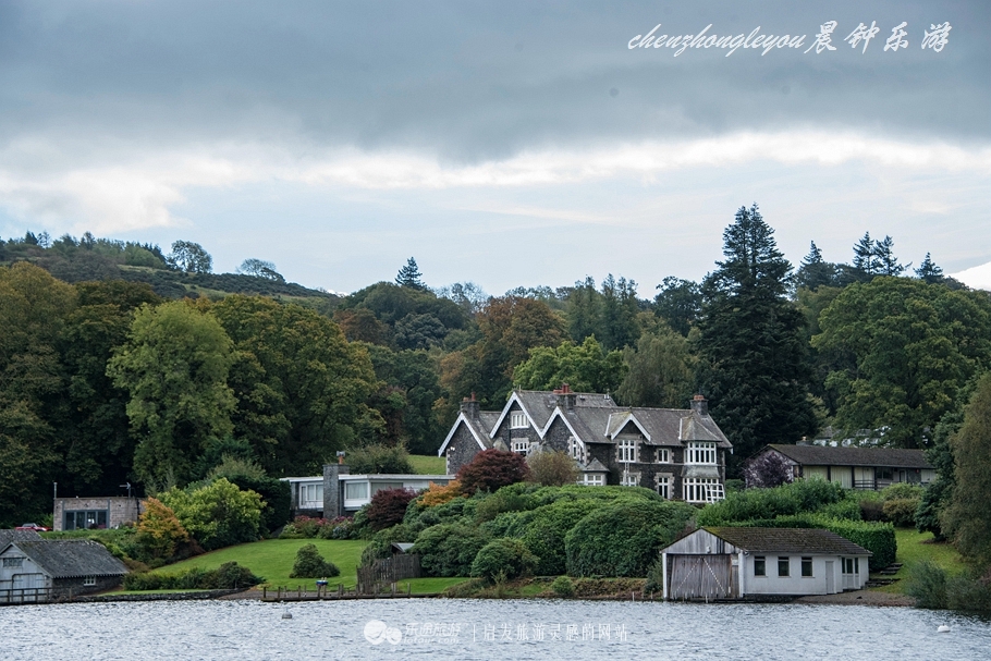 一只兔子原版抖音视频,一只低调奢华的兔子