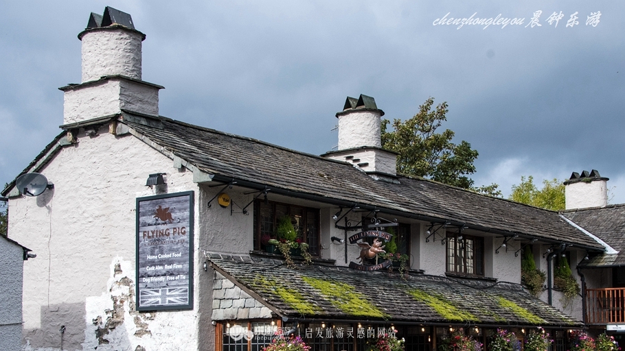 一只兔子原版抖音视频,一只低调奢华的兔子