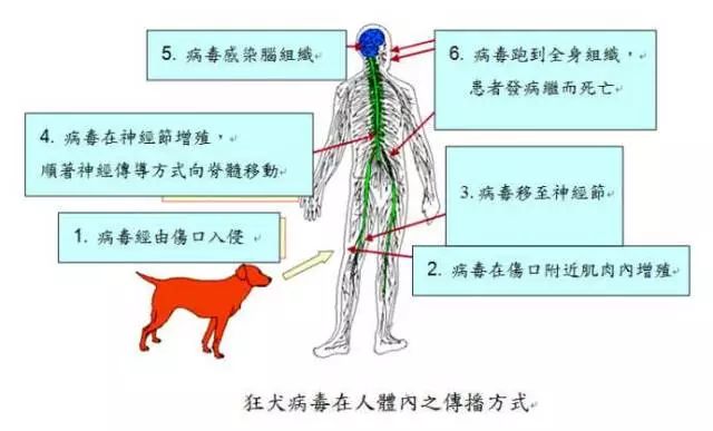9岁男孩突然抽搐、高烧、流口水，家长已放弃治疗，只因5年前一件小事没在意