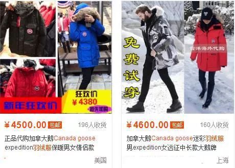 鎶勮鐨勬渶楂樺鐣屾湁澶氶珮,canadagoose