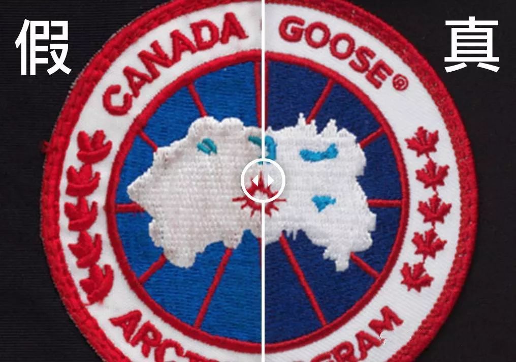 鎶勮鐨勬渶楂樺鐣屾湁澶氶珮,canadagoose