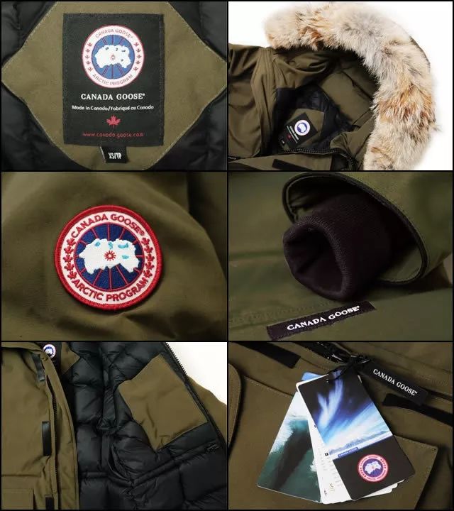 鎶勮鐨勬渶楂樺鐣屾湁澶氶珮,canadagoose