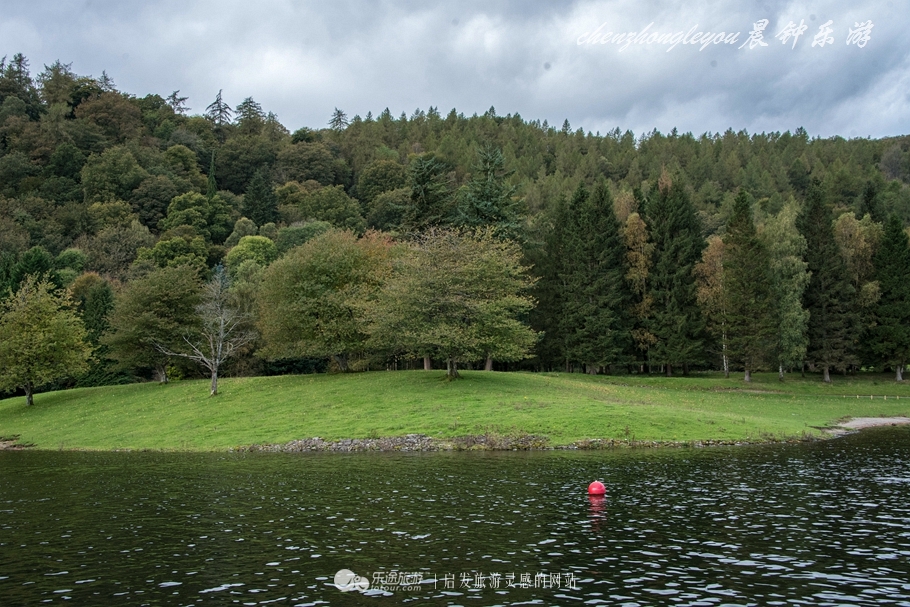 一只兔子原版抖音视频,一只低调奢华的兔子