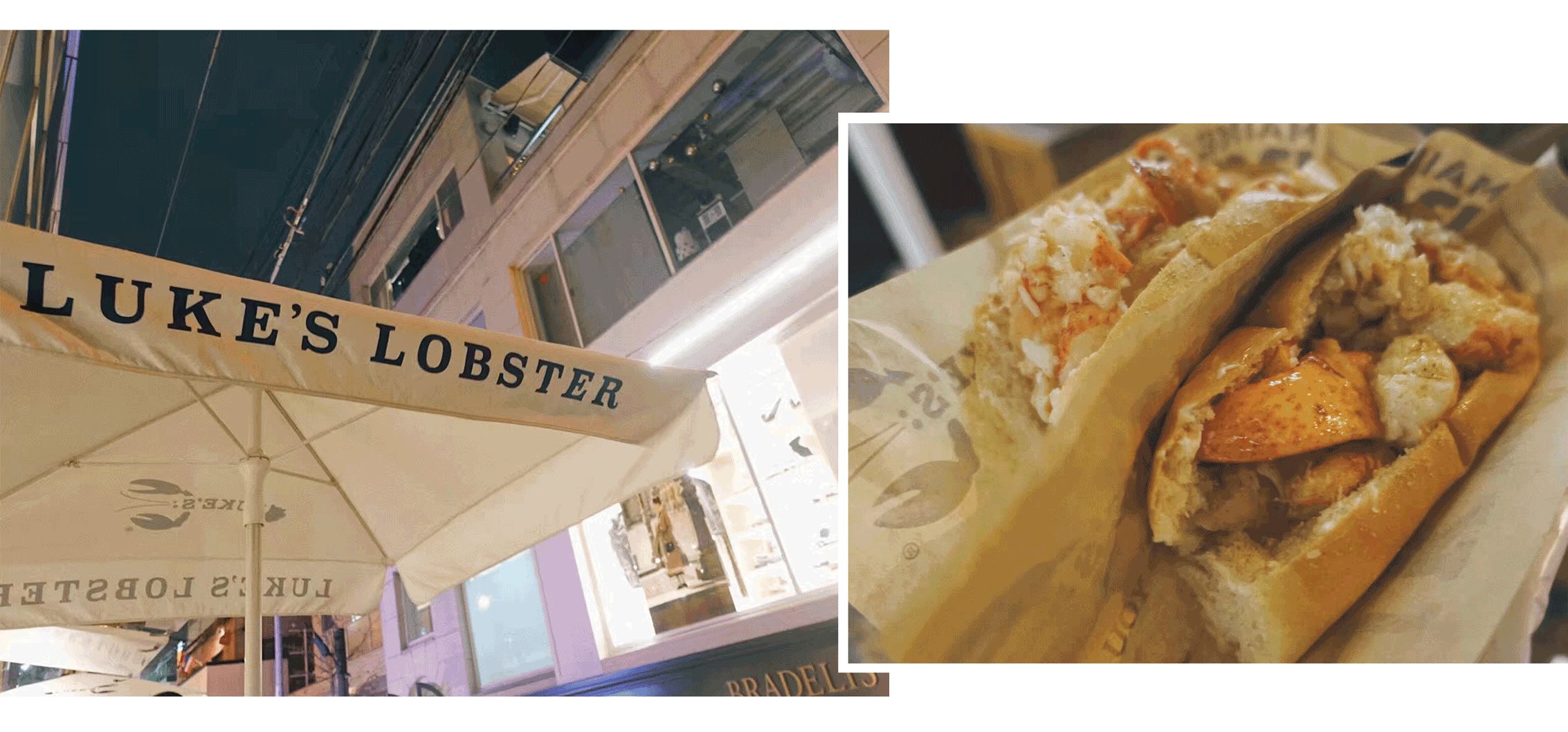 旅行日记好看吗,旅行记日本