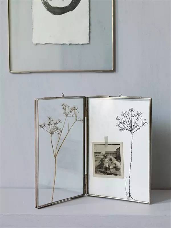 学做家庭植物微景观,做植物标本能学到什么