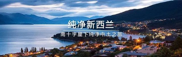 澳门赌王女儿入境新西兰居然被扣,她究竟带了什么?