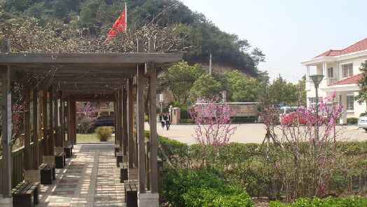 小港村还那么风光吗,香港为什么从小渔村发展繁荣