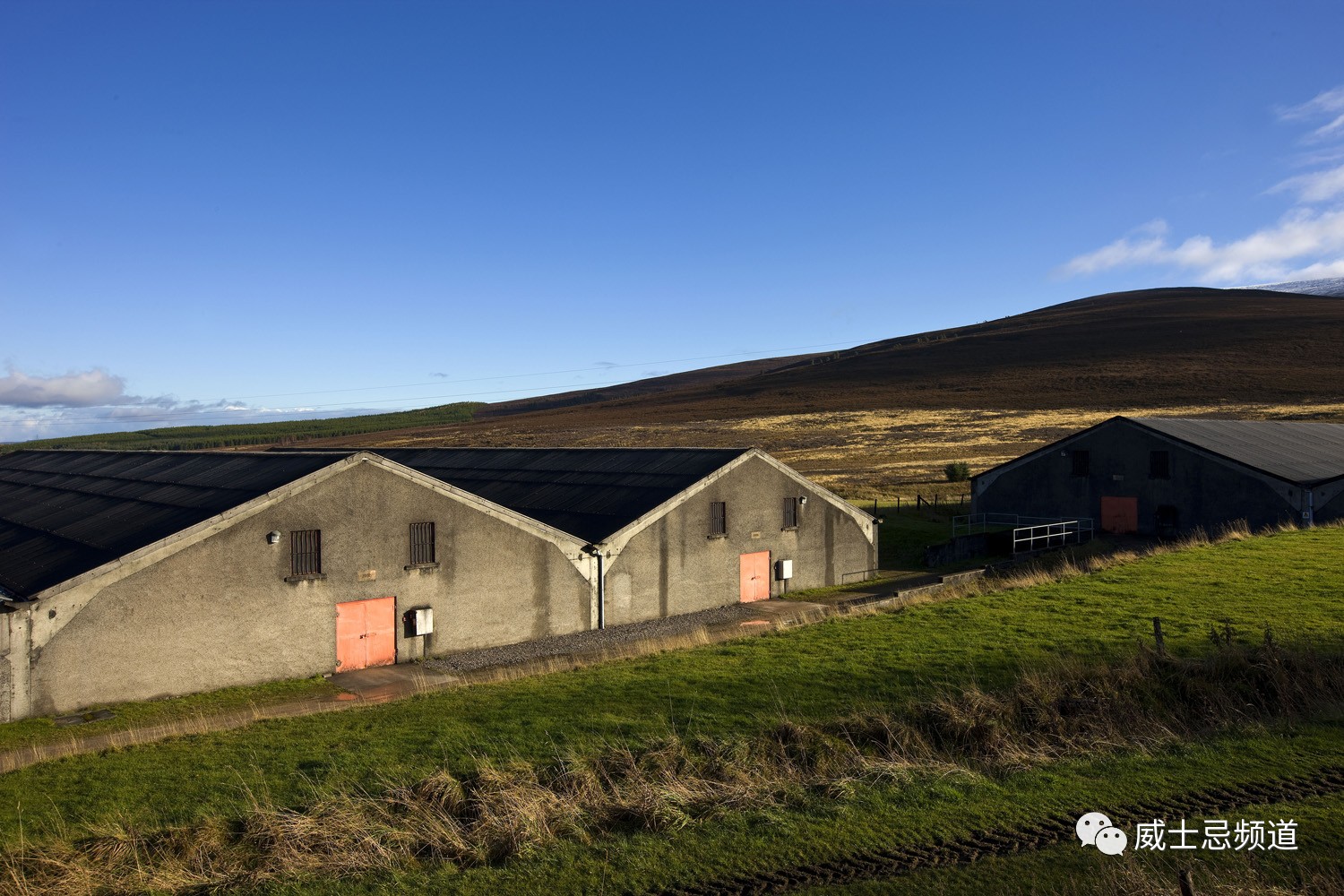 511.19英镑成就传奇,一个家族的辉煌与坚持