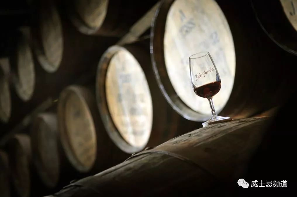 511.19英镑成就传奇,一个家族的辉煌与坚持