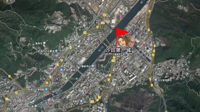 香港早餐吃蛋挞,香港蛋挞哪里最正宗