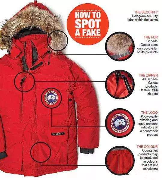 鎶勮鐨勬渶楂樺鐣屾湁澶氶珮,canadagoose