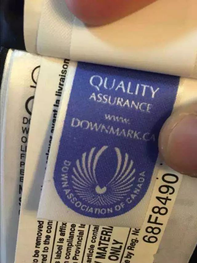 鎶勮鐨勬渶楂樺鐣屾湁澶氶珮,canadagoose