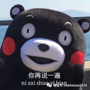 海南为什么那么多人离不开岛,海南登岛情况