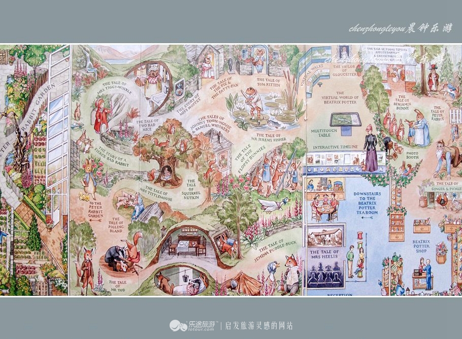 一只兔子原版抖音视频,一只低调奢华的兔子