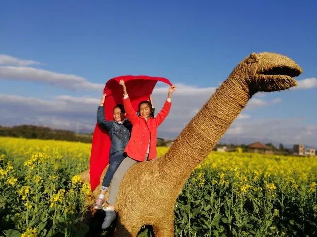 蒙自尼苏小镇油菜花,蒙自油菜花在尼苏小镇哪里