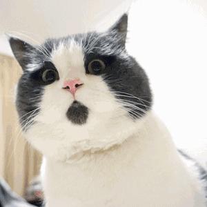 气温狂降至-10℃!青岛人盼的雪又要来了!还连下两天!