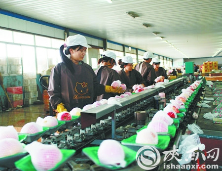 黄龙三岔镇：“两个创新”绘画卷“一个紧跟”谱新篇