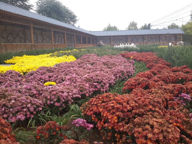 2017首都基础教育大扫描之三城乡一体化让这些乡村学校美翻啦！丨热点