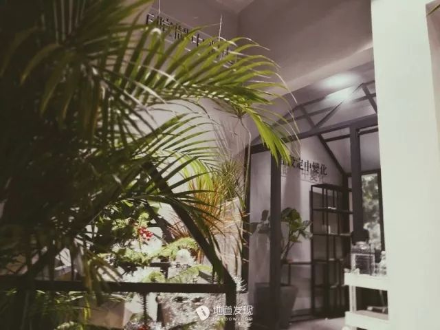 最近比较火的网红咖啡店广州 (广州最值得去的10家网红咖啡店)