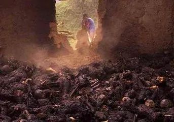 印度大师囚禁案,印度被囚禁的顶级大师