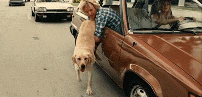 亲身教学刹车失灵,刹车失灵怎么办小姐姐教你小妙招