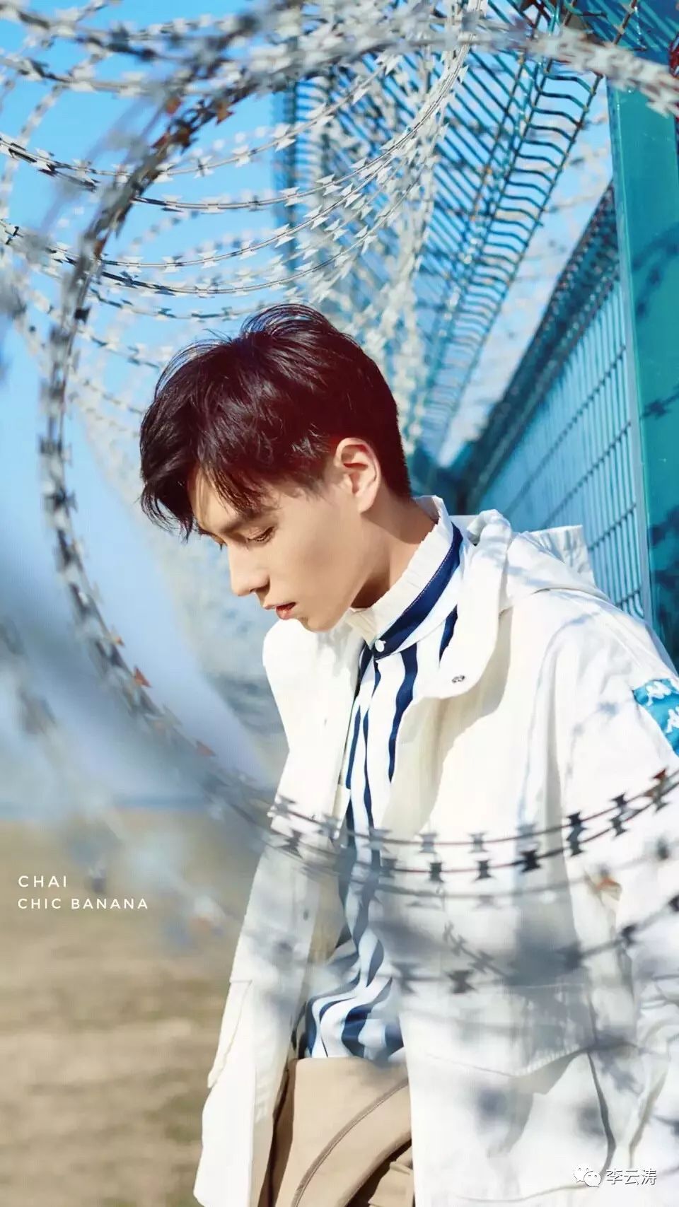 李云涛董思成,李云涛