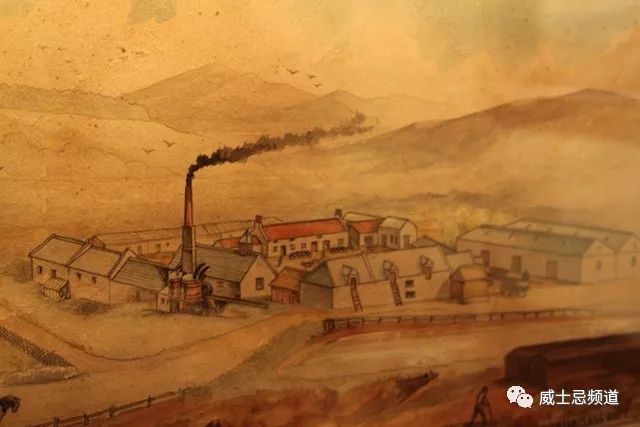 511.19英镑成就传奇,一个家族的辉煌与坚持