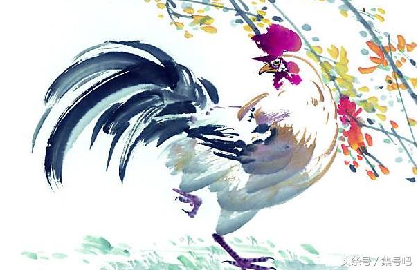 十二生肖2018年运势大全,2018年十二生肖整体运势如何呢