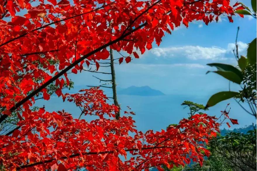 宫崎骏笔下的场景是真实存在的,宫崎骏现实版的场景