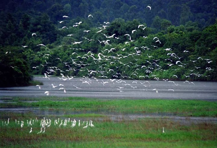 世界首创“船上温泉”，白鹭齐飞，逛法国风情小镇，深圳2.5h即到