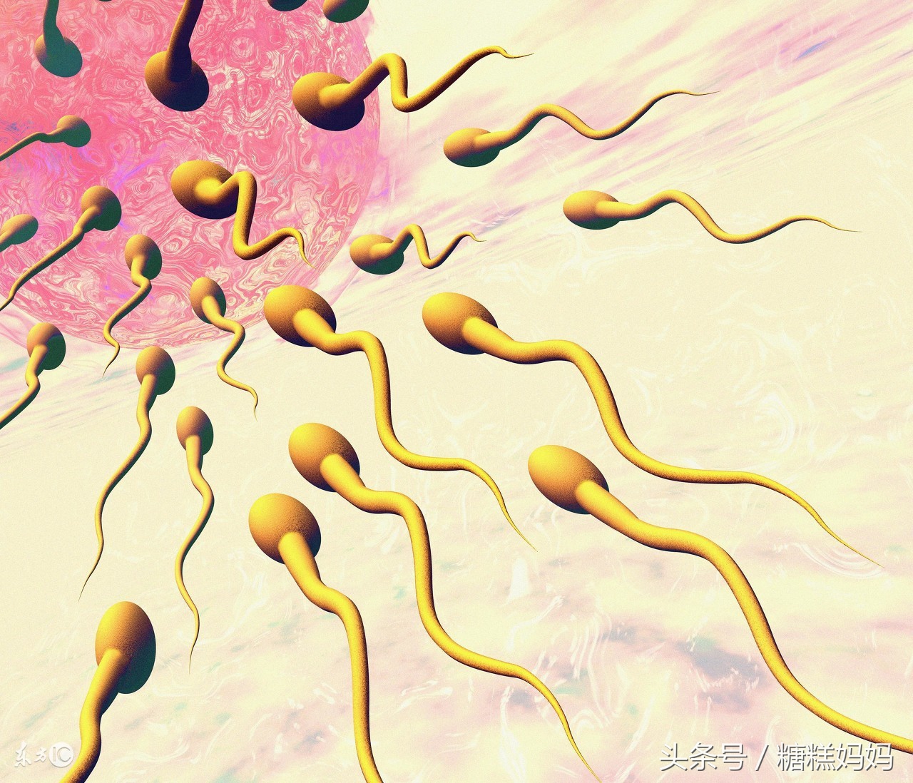 怀孕第一个月需要查哪些,怀孕第一个月要问医生什么问题