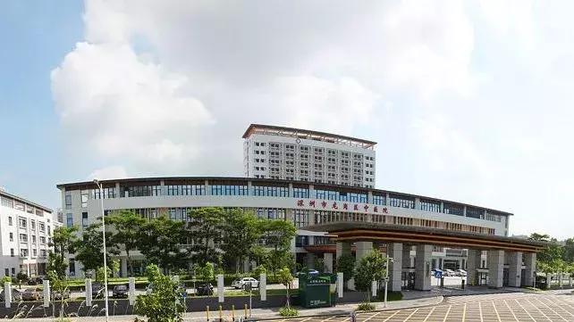 娣卞湷鍏ぇ鍚嶅尰,娣卞湷鍚嶅尰鍚嶅崟