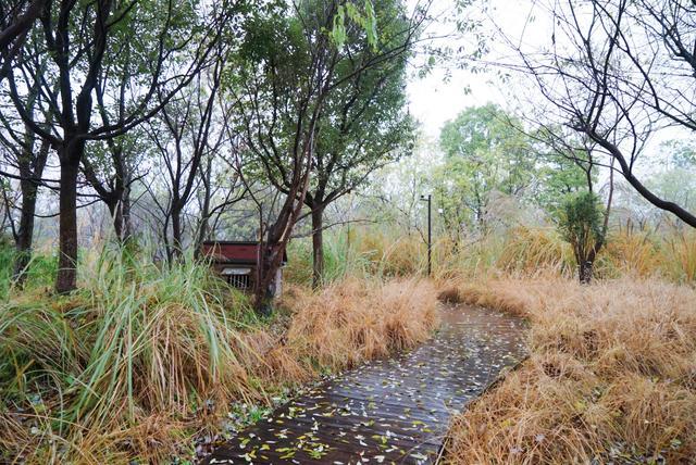 我和玛莎拉蒂的故事,我与玛莎拉蒂的故事