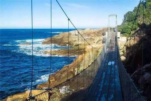 南非线路攻略|与鲨共舞、沙漠开花、隔海观鲸,你了解非洲吗?