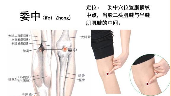中医穴位知识大全,穴位功效大全快收藏吧