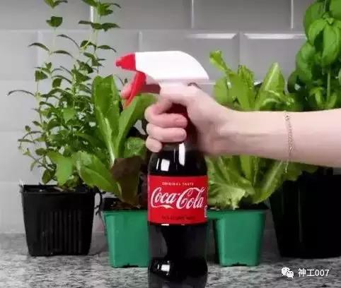 草酸去除马桶顽固尿渍,洗马桶污渍强力除渍剂