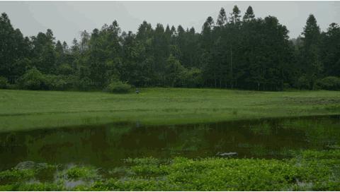 终点亦是起点青春永不散场,终点亦是起点起点亦是终点