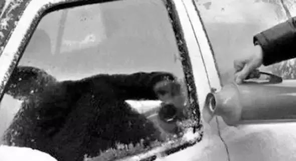 下雪车玻璃被冻住怎么办,雪后车玻璃结冰怎么处理