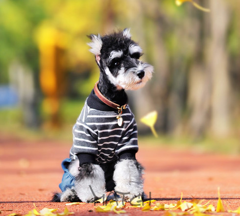 大牌新年限定辣眼,各奢侈品龙年限定