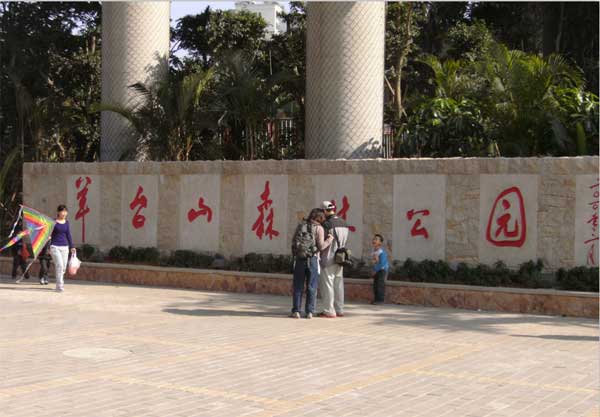 深圳最高峰羊台山登山好地方门票,深圳羊台山最高多少米