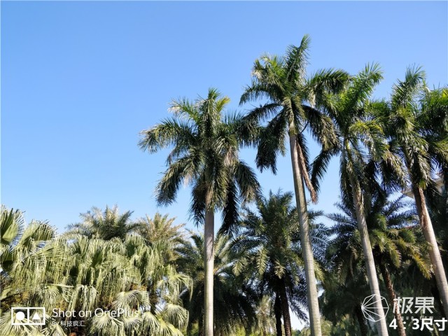 一加5t用一年的感受,一加5t深度解析