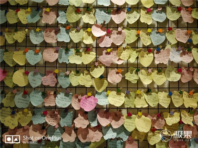 一加5t用一年的感受,一加5t深度解析