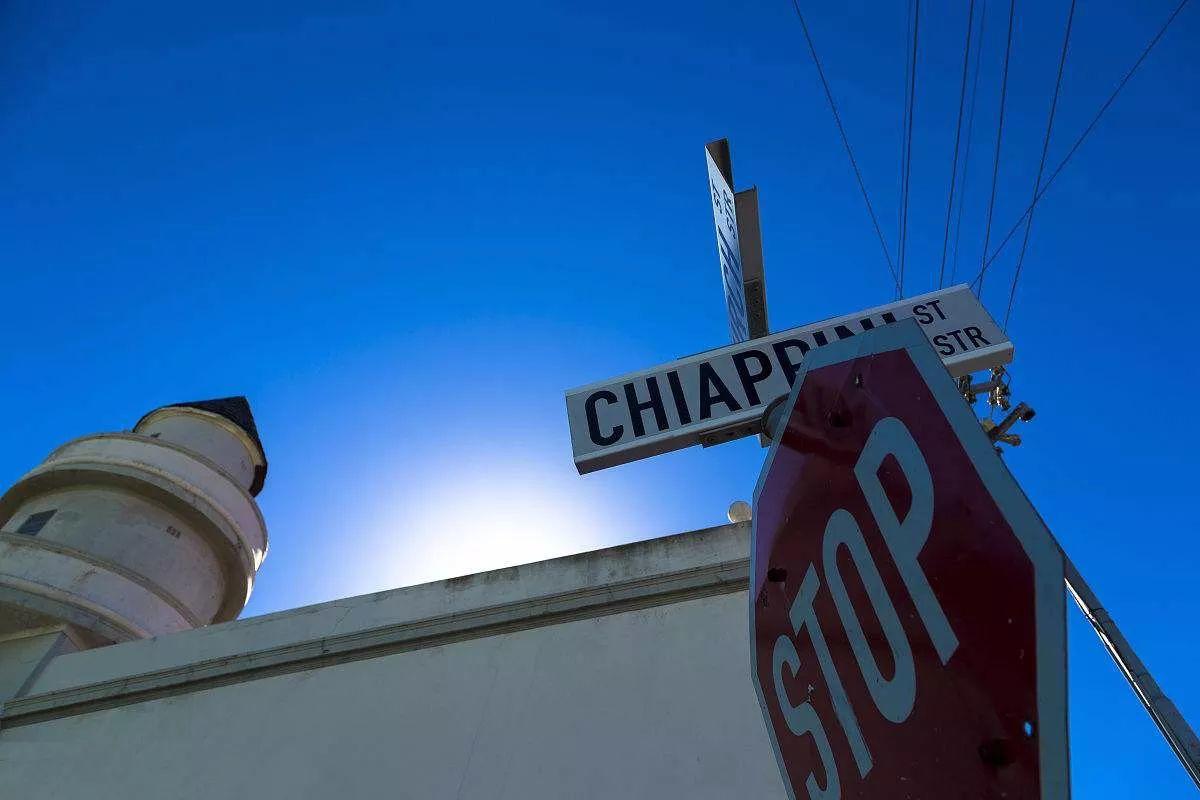 南非线路攻略|与鲨共舞、沙漠开花、隔海观鲸,你了解非洲吗?