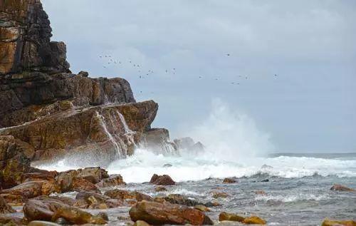 南非线路攻略|与鲨共舞、沙漠开花、隔海观鲸,你了解非洲吗?